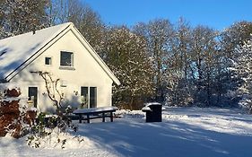 Skont Hus Pa Landet Taet Pa Billund