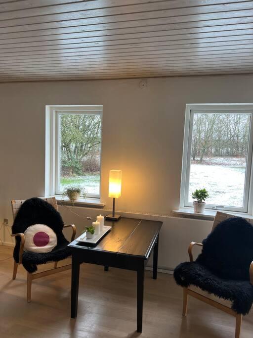 Villa Skont Hus Pa Landet Taet Pa Billund Give Exterior foto