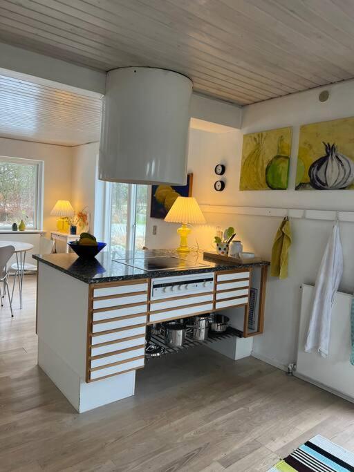 Villa Skont Hus Pa Landet Taet Pa Billund Give Exterior foto
